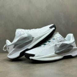 Giày Nike Pegasus Trail 5 - White Grey